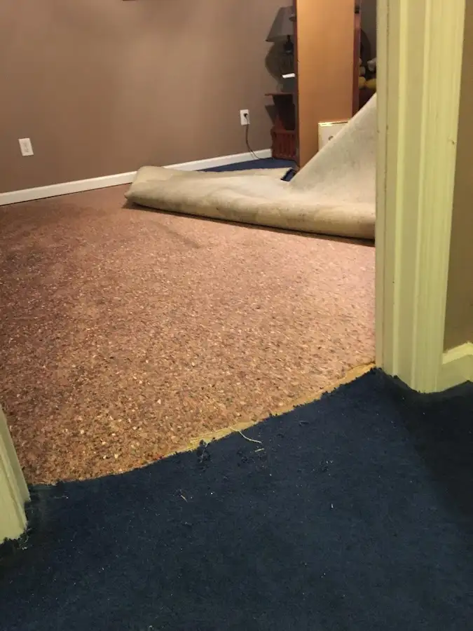 Carpet pad removal revealing water damage during Drying & Dehumidification in Hoffman Estates